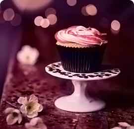 账号邀请码的DDOS平台